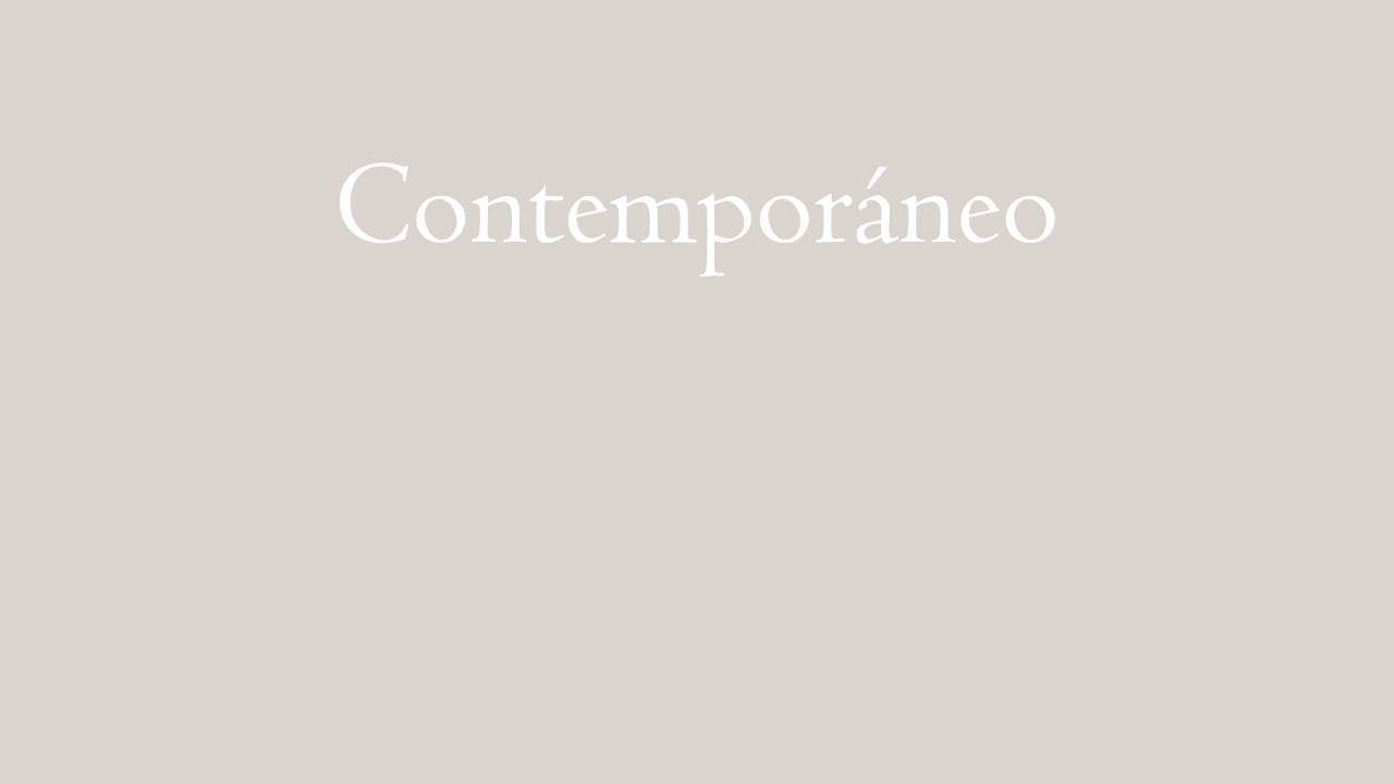 Vídeo Contemporáneo